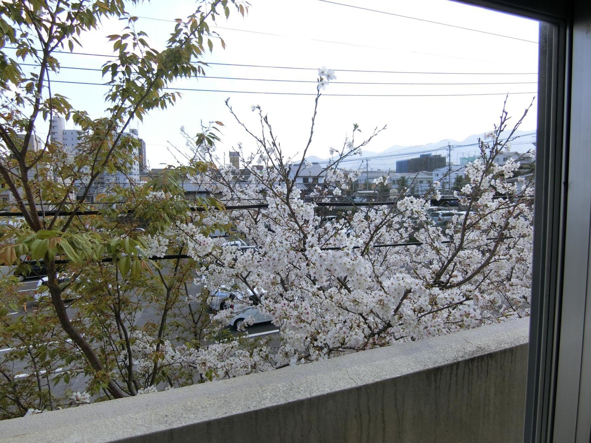 Simple Stay Beppu Rum bild